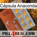 Cápsula Anaconda 43